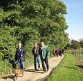MG Herfstwandeling (30)